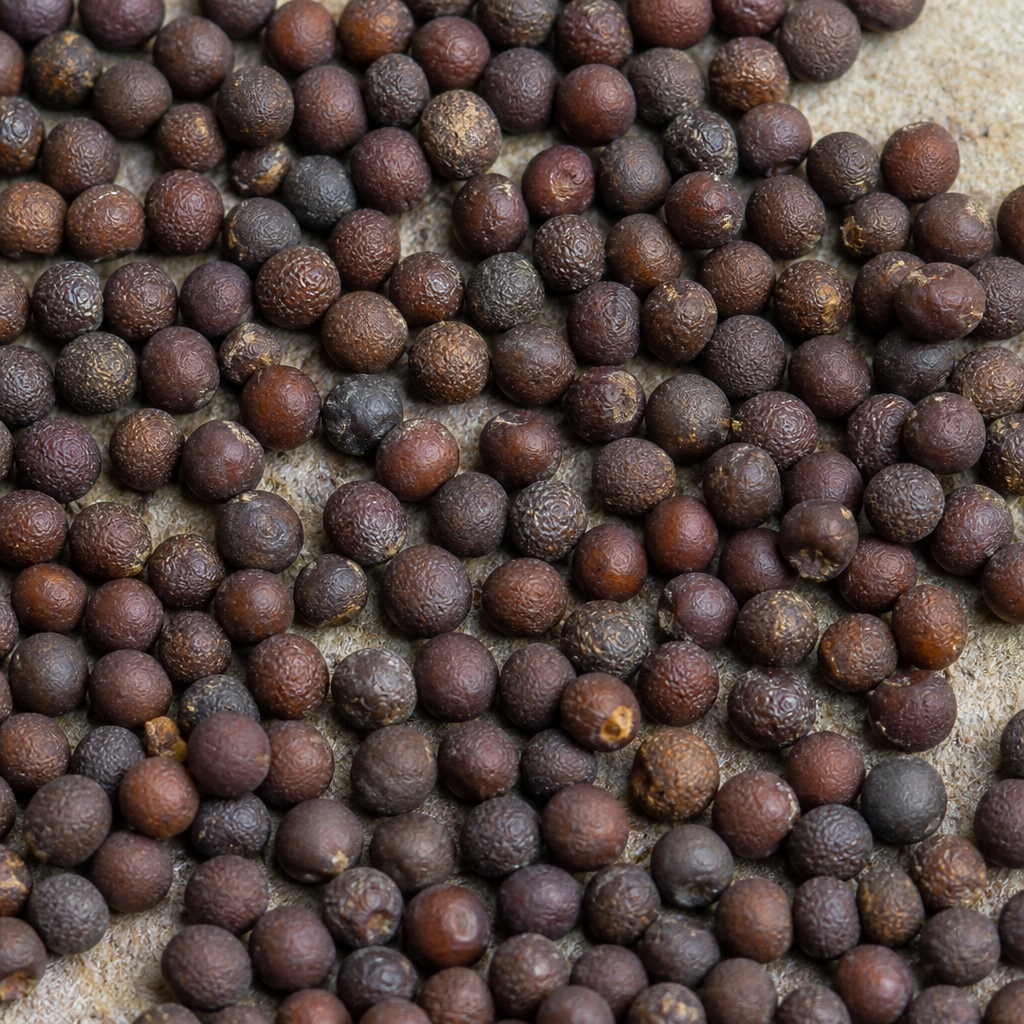 Vegetable Seeds